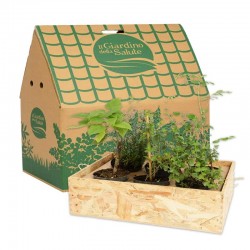 6 piante officinali mix vie...