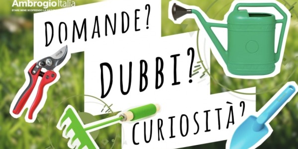 “Quel verde venerdì” sta arrivando #STAYTUNED