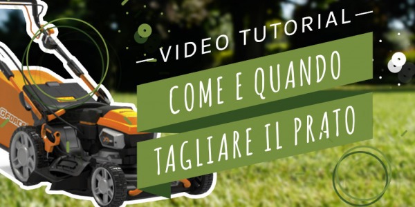 Come si fa… a tagliare bene l’erba del prato?