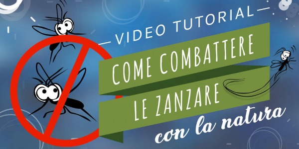 Risolvere un problema: come combattere le zanzare?