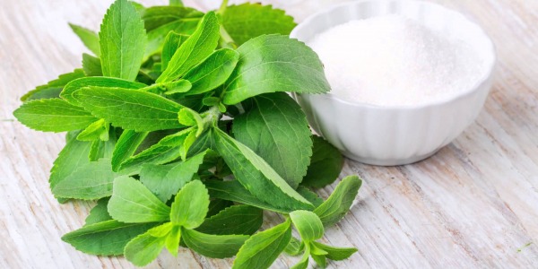 Stevia, proprietà della pianta